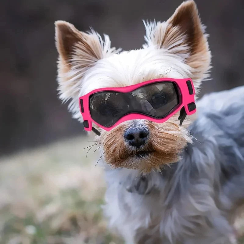 UV Protective Dog And Cat Goggles Eyewear For Outdoor Pets