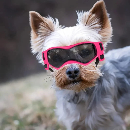 UV Protective Dog And Cat Goggles Eyewear For Outdoor Pets