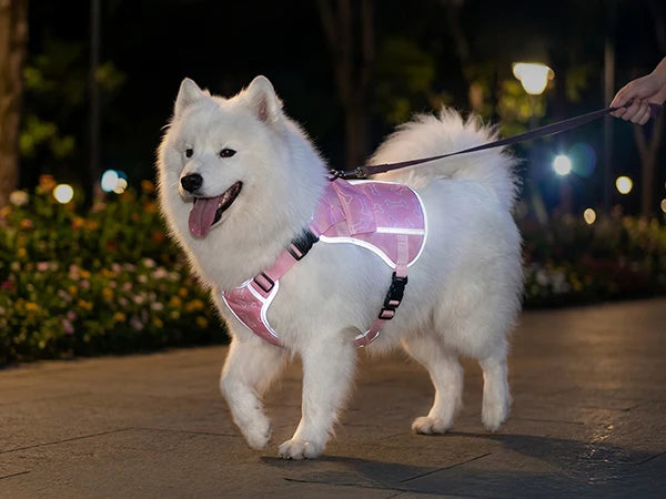 Cooling Vest For Dogs With Replaceable Cooling Packs, Lightweight