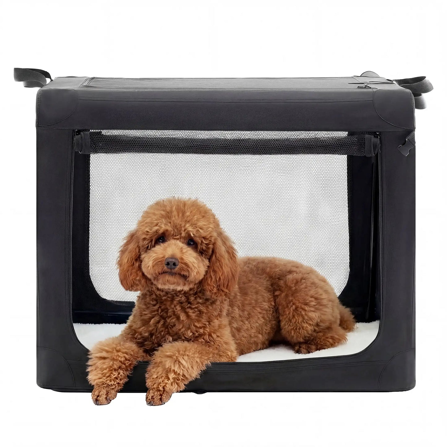 Portable Foldable Dog Crate For Small Dogs, 3 Door Airline