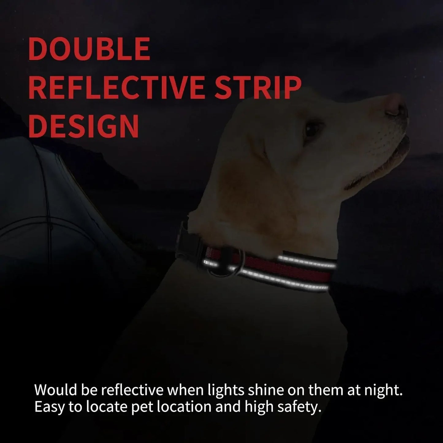 Highly Reflective Adjustable Dog Collar With Dual Metal D Rings