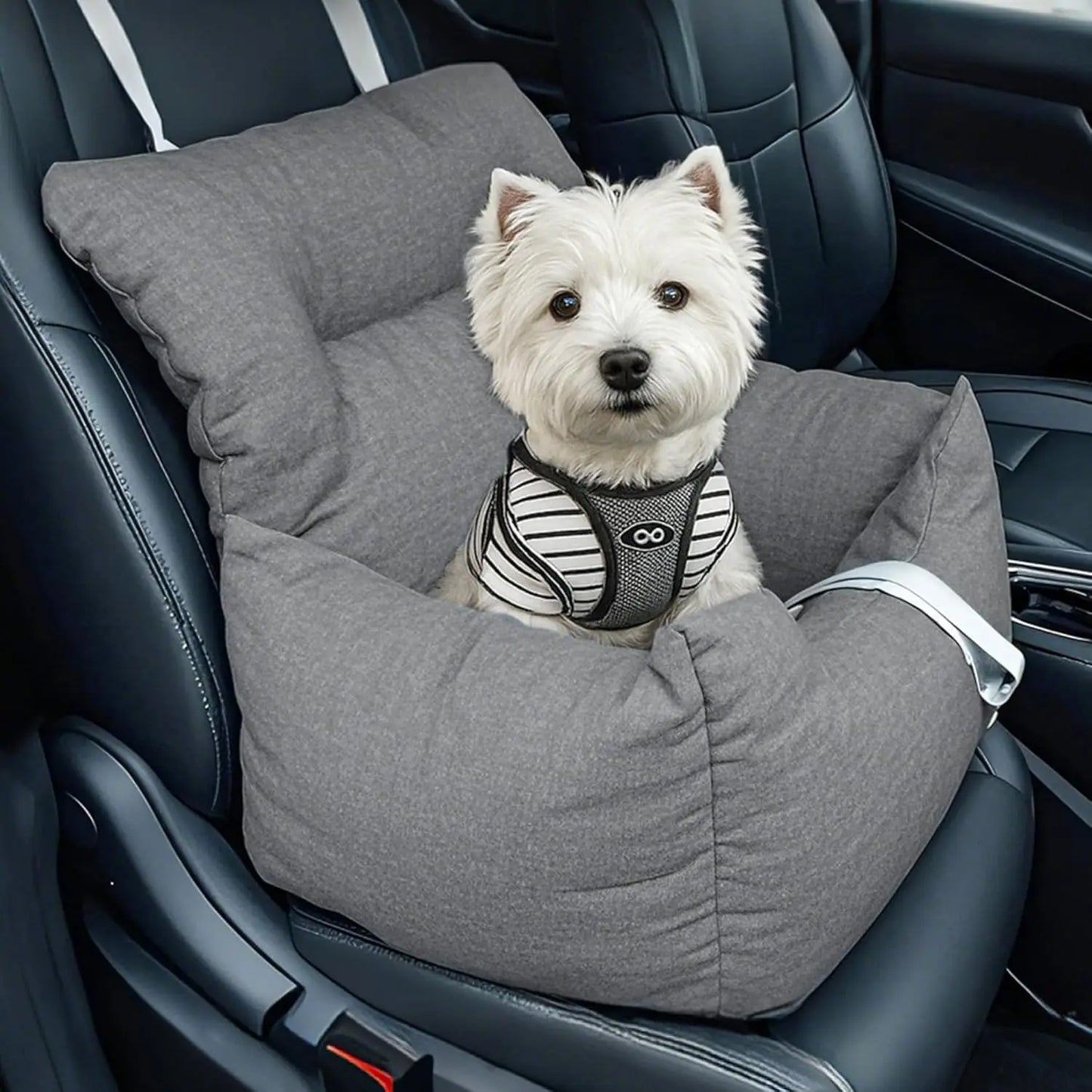 HiMISS Dog Booster Car Seat Bed Portable For Dogs Travel