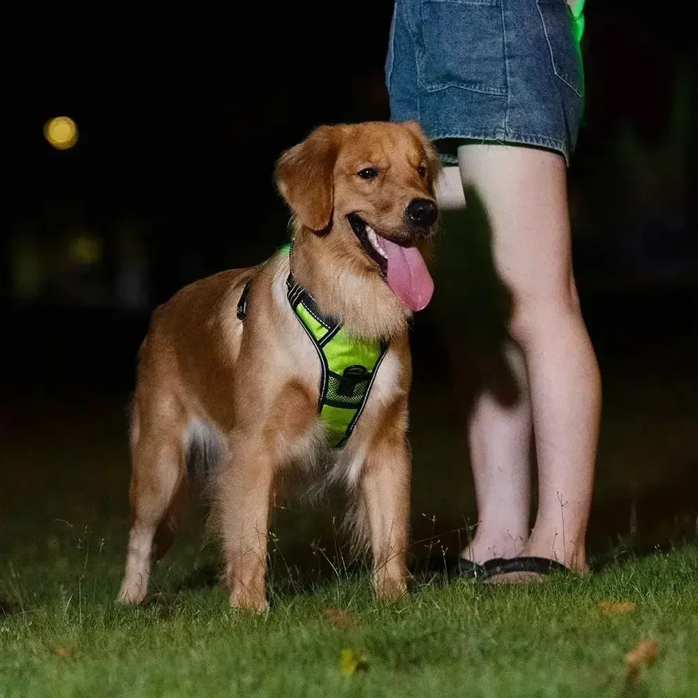 LED Light Up Dog Harness With Adjustable Rechargeable Battery