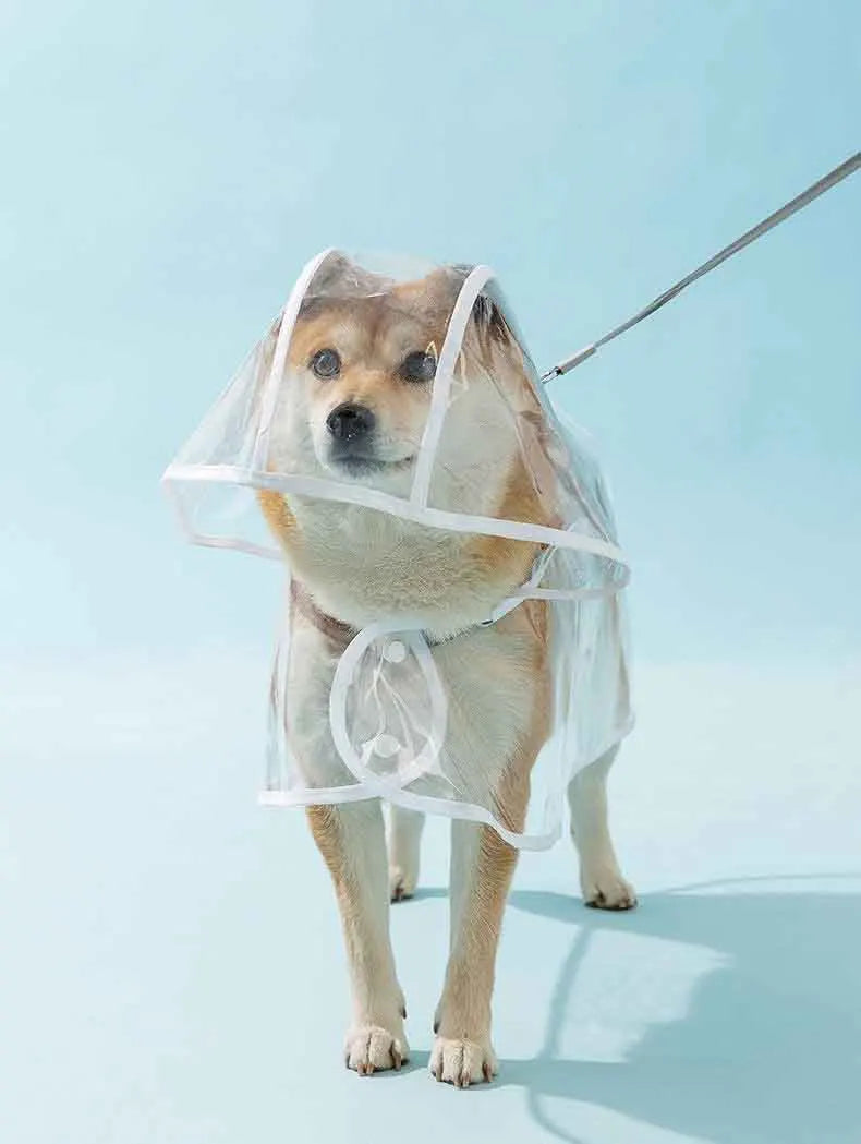 Transparent Waterproof Dog Raincoat With Hat
