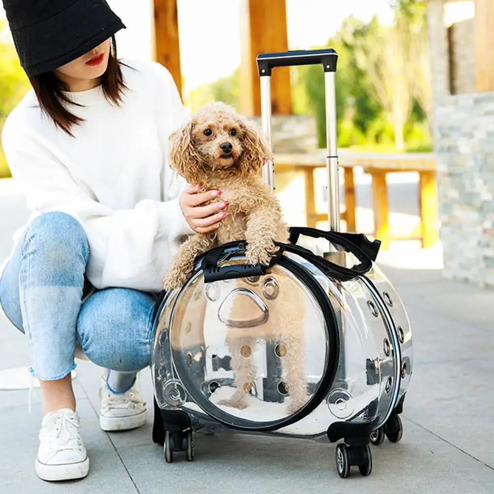 Pet Trolley Backpack With Clear Ventilation Holes And Silent Wheels