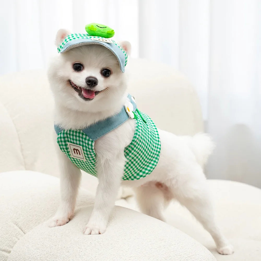 Duck Frog Spring Summer Pet Harness Set