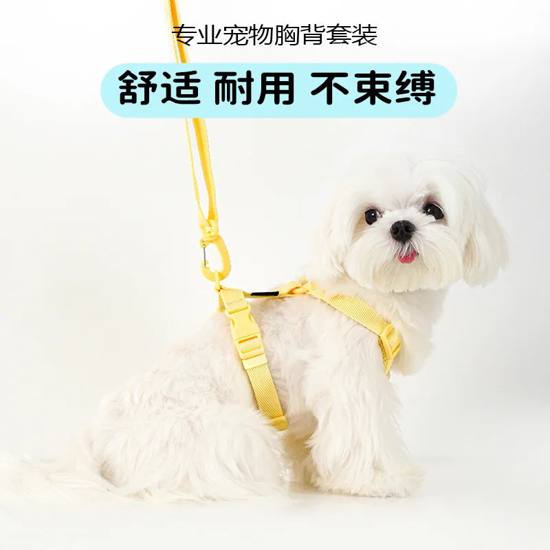DKSTINYE Adjustable Puppy Harness Set With Reflective Collar And Leash