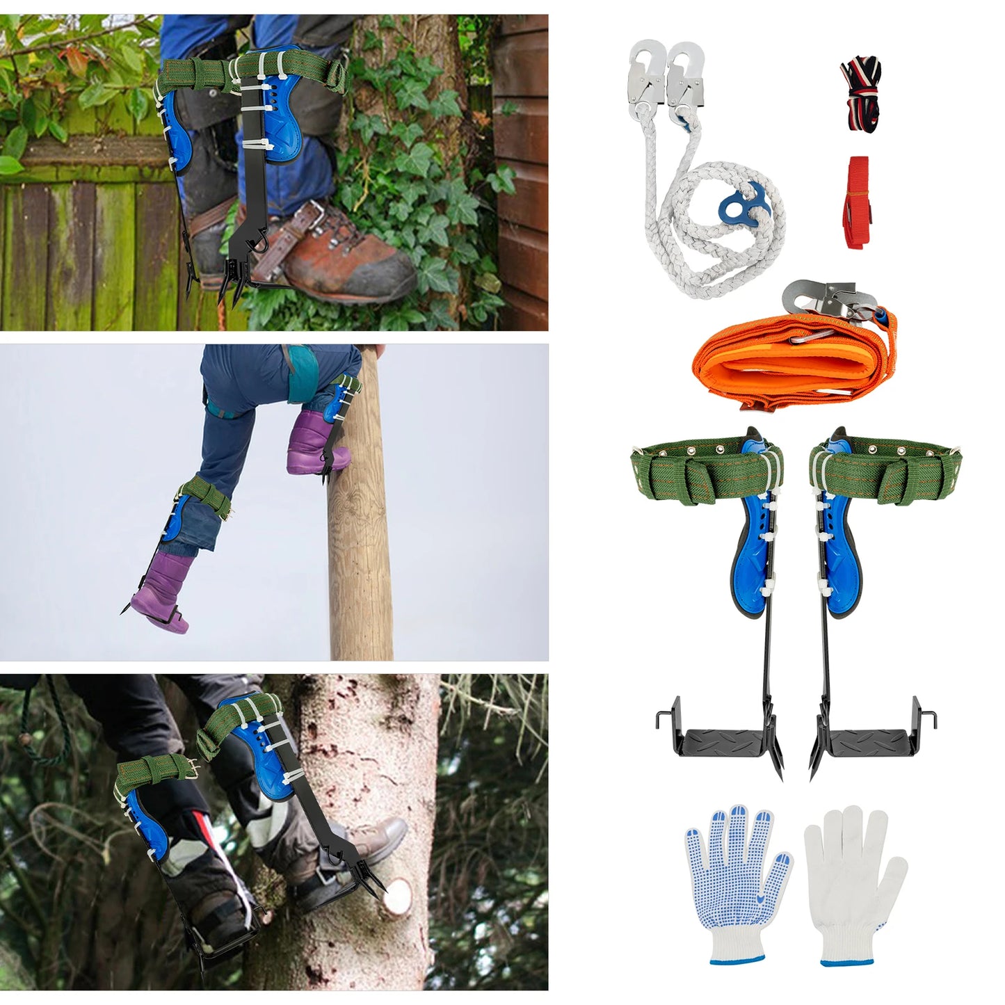Professional Tree Climbing Spikes Kit With Safety Harness Capacity 220lbs