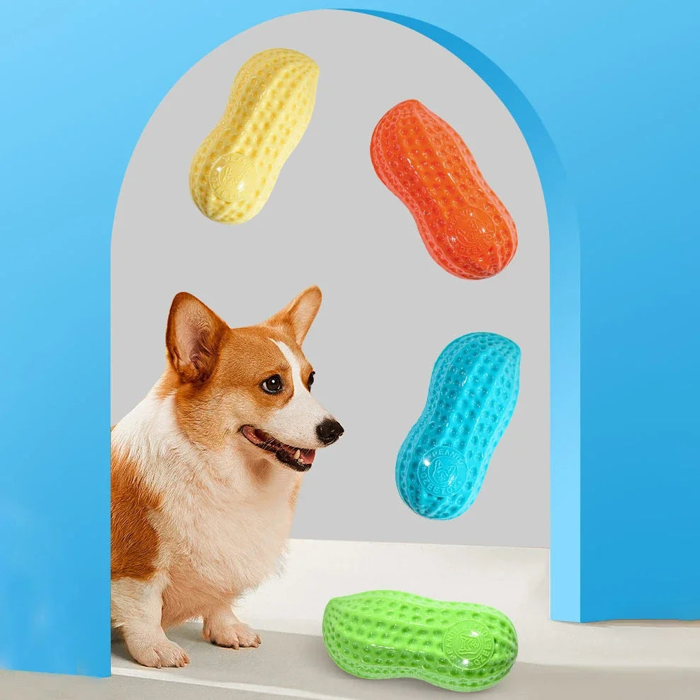 Dog Peanut Squeaking Chew Toy TPR Rubber Interactive Pet Toy