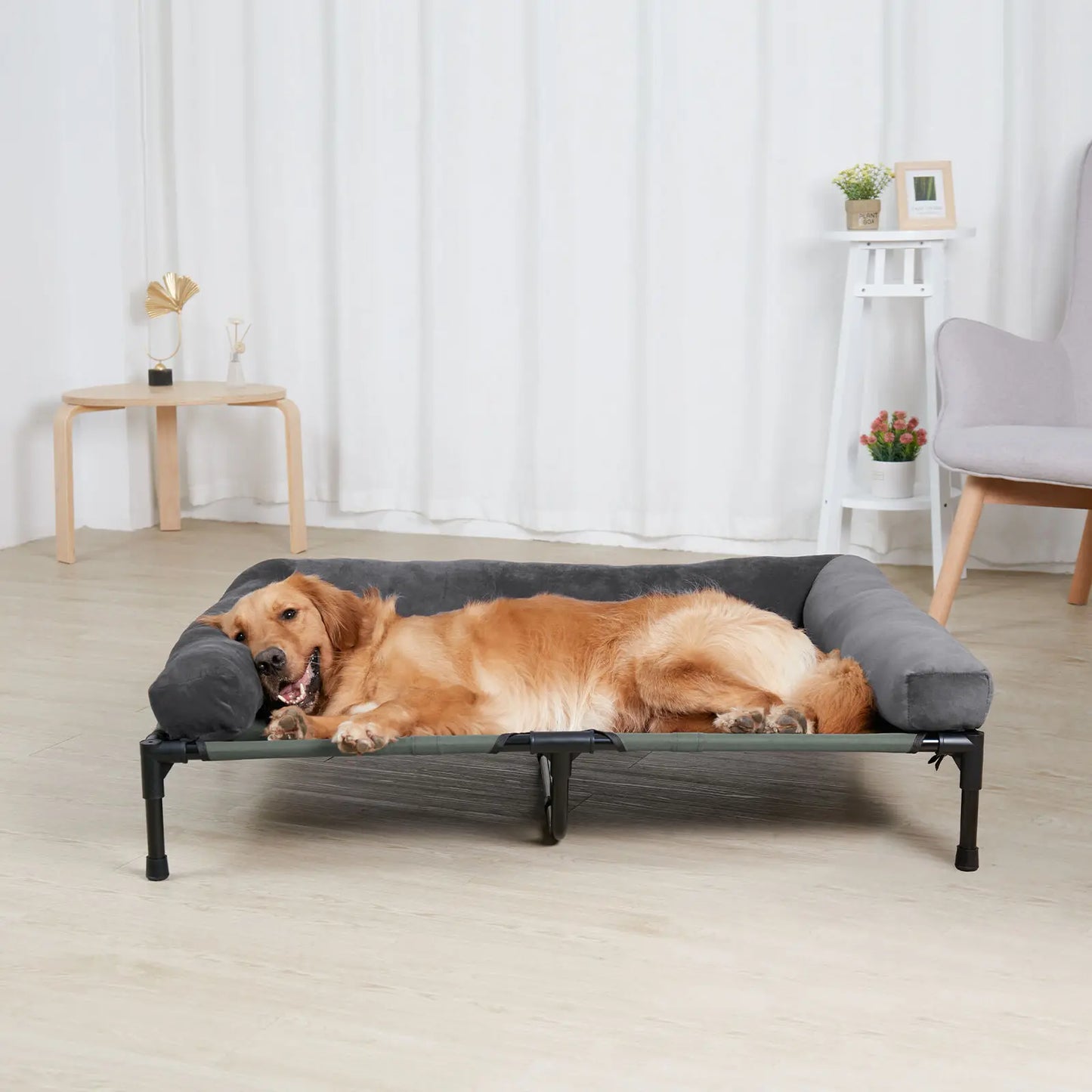 BINGOPAW Elevated Pet Lounger Bed With Detachable Plush Bolster