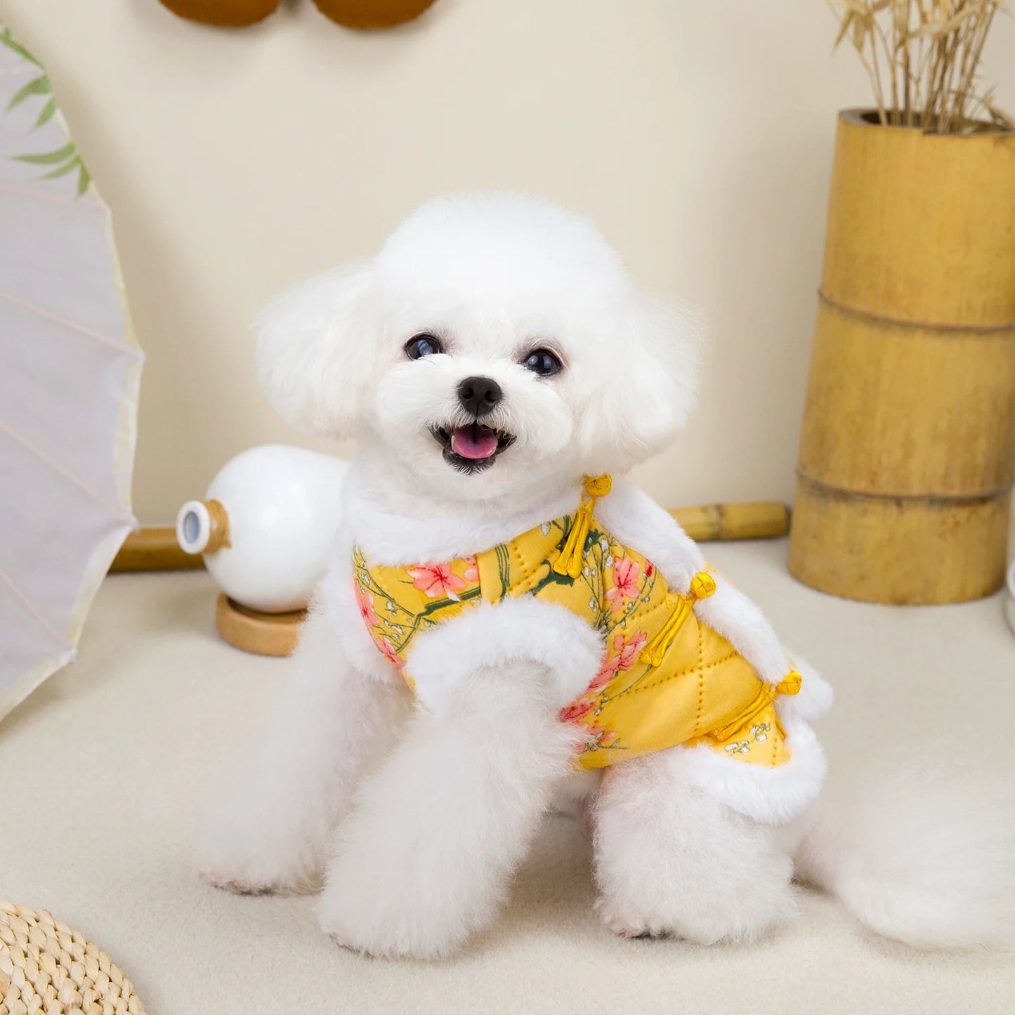 Warm Chinese Style Pet Dog Tang Suit Winter Jacket