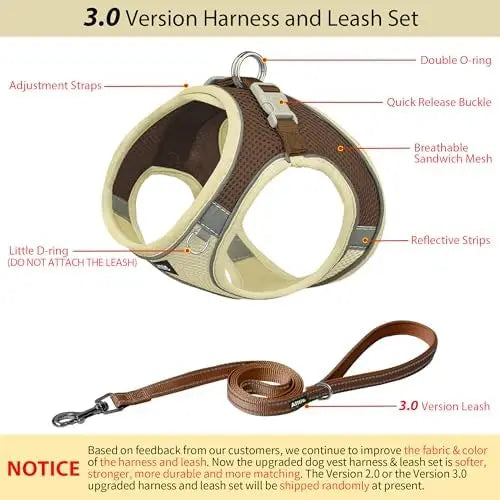 YTYIN Adjustable Dog Harness And Leash Set For Pets