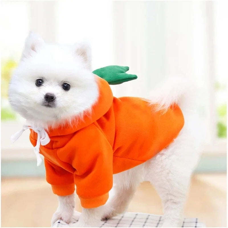 Wangmeow Warm Fleece Cute Fruit Hoodie For Small Dogs