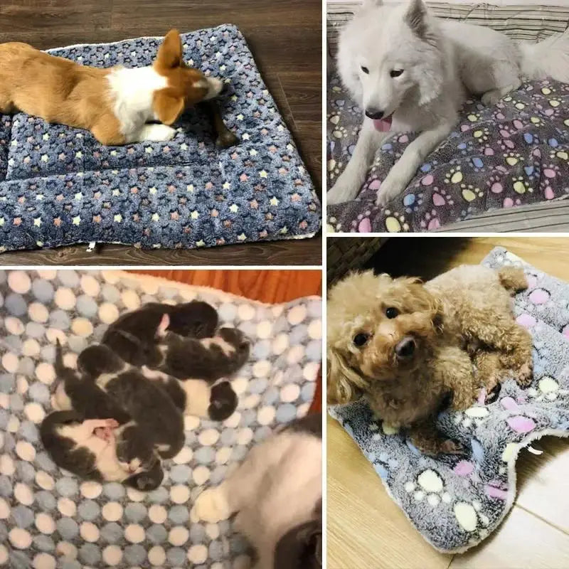 Soft Coral Fleece Pet Sleeping Mat With Bear Pattern