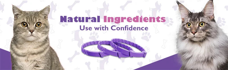 Dog Cat Calming Collar For Anxiety Relief Breakaway Quick Release