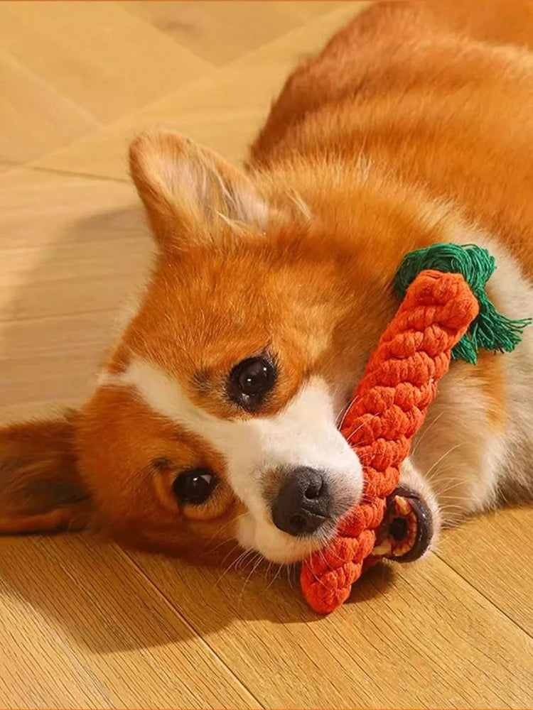 Handwoven Cotton Rope Dog Toy With Knot Chew For Pets