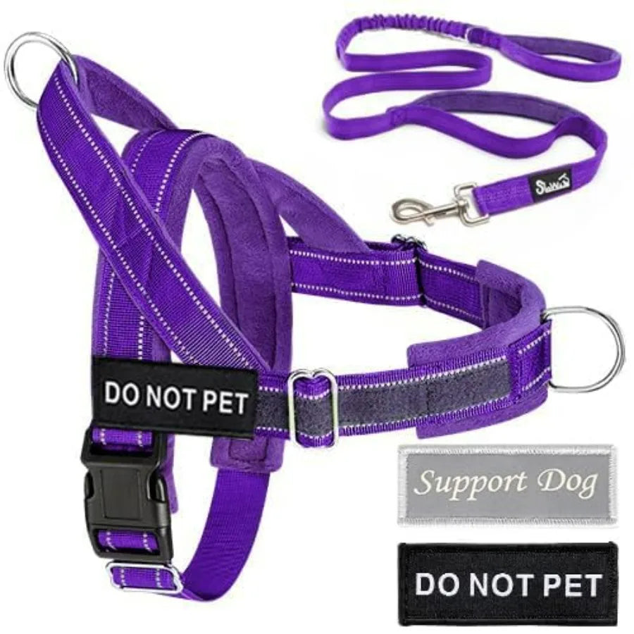 No Pull Dog Harness And Leash Set With Adjustable Soft Padded Vest Front Clip