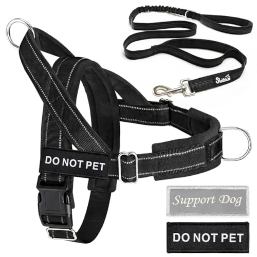 No Pull Dog Harness And Leash Set With Adjustable Soft Padded Vest Front Clip