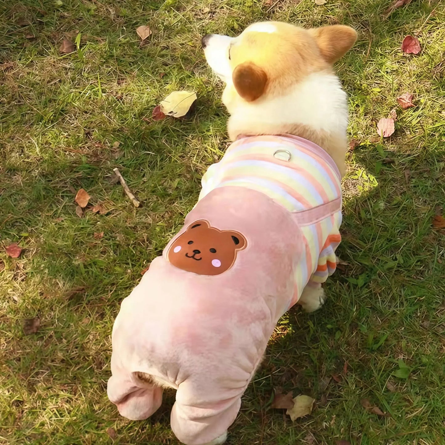 Caiban Autumn Winter Dog Fleece Jumpsuit Coat With Leash Ring