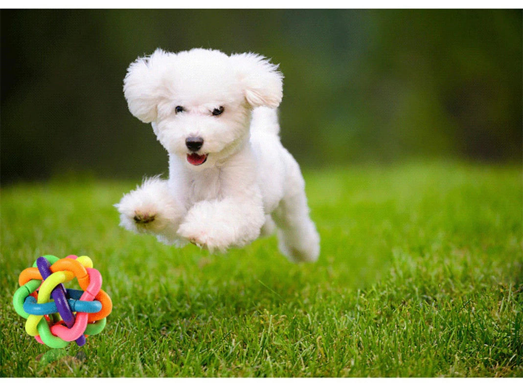 Woven Bell Dog Toy Bite Resistant Rubber Chew Ball Fetch