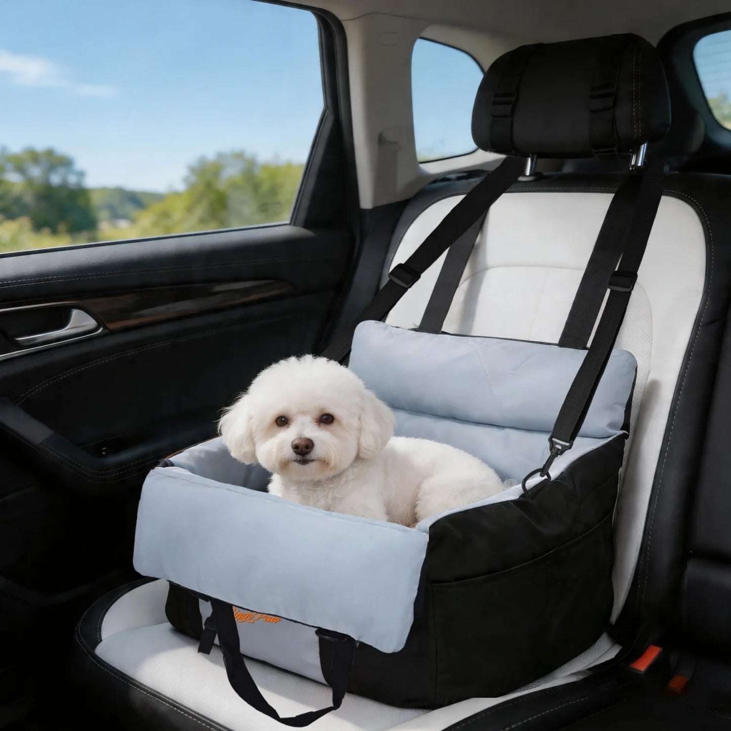 BINGOPAW Dog Car Seat For Small Dogs Washable Booster Carrier With Safety Belt
