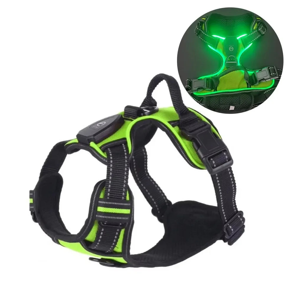 LED Light Up Dog Harness With Adjustable Rechargeable Battery