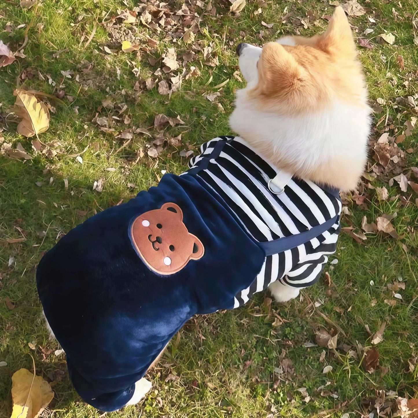 Caiban Autumn Winter Dog Fleece Jumpsuit Coat With Leash Ring