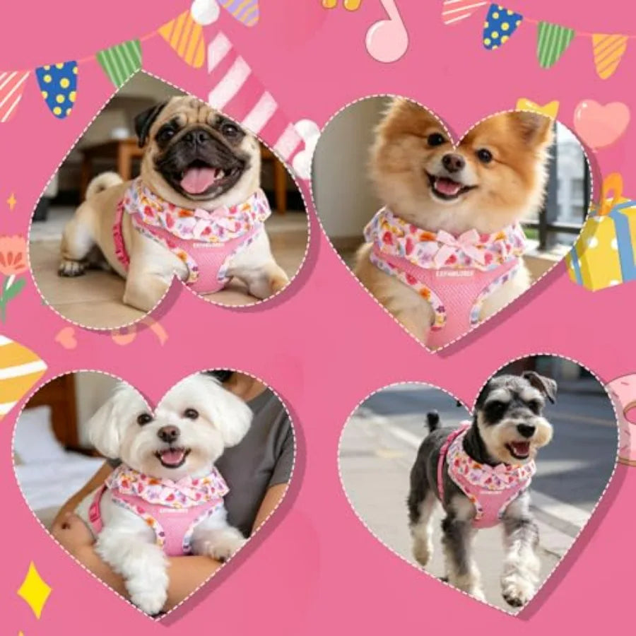 Dog Harness Leash Set Step In Adjustable NoChoke Mesh Vest