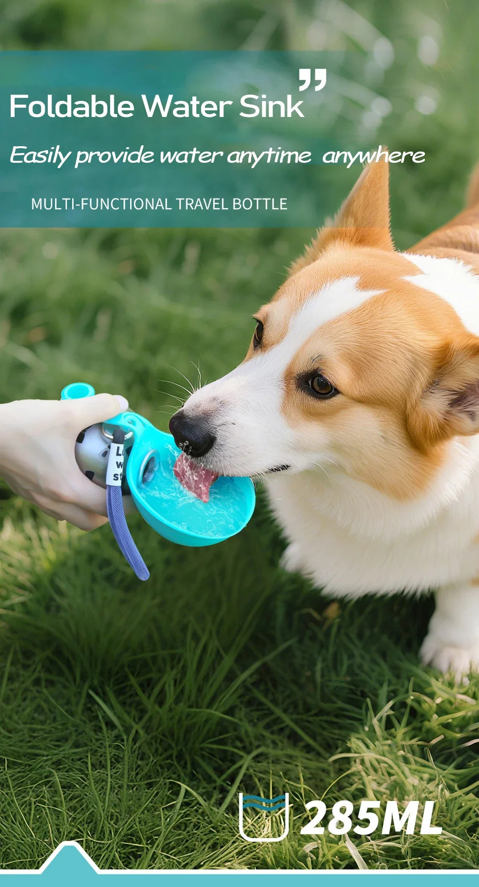 Portable Outdoor Pet Water Bottle With Bowl Stainless Steel 304