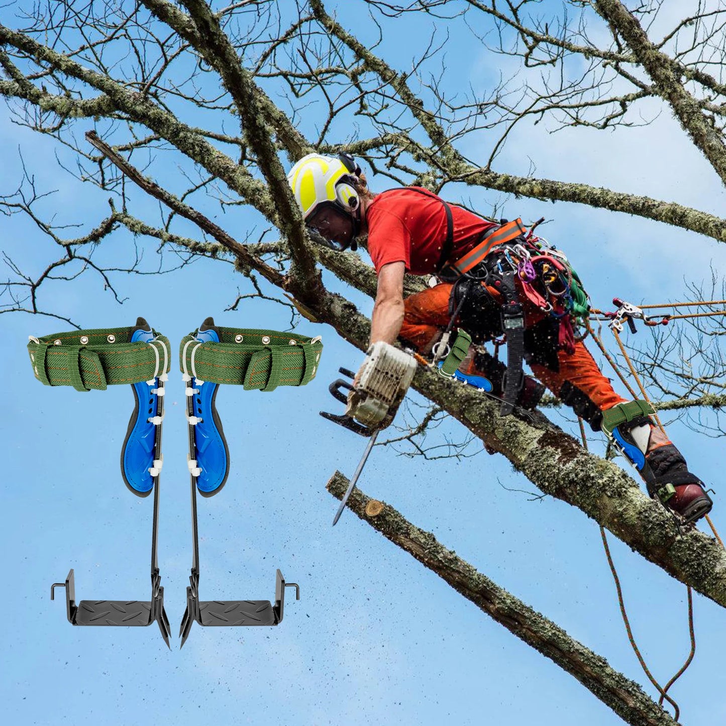 Professional Tree Climbing Spikes Kit With Safety Harness Capacity 220lbs