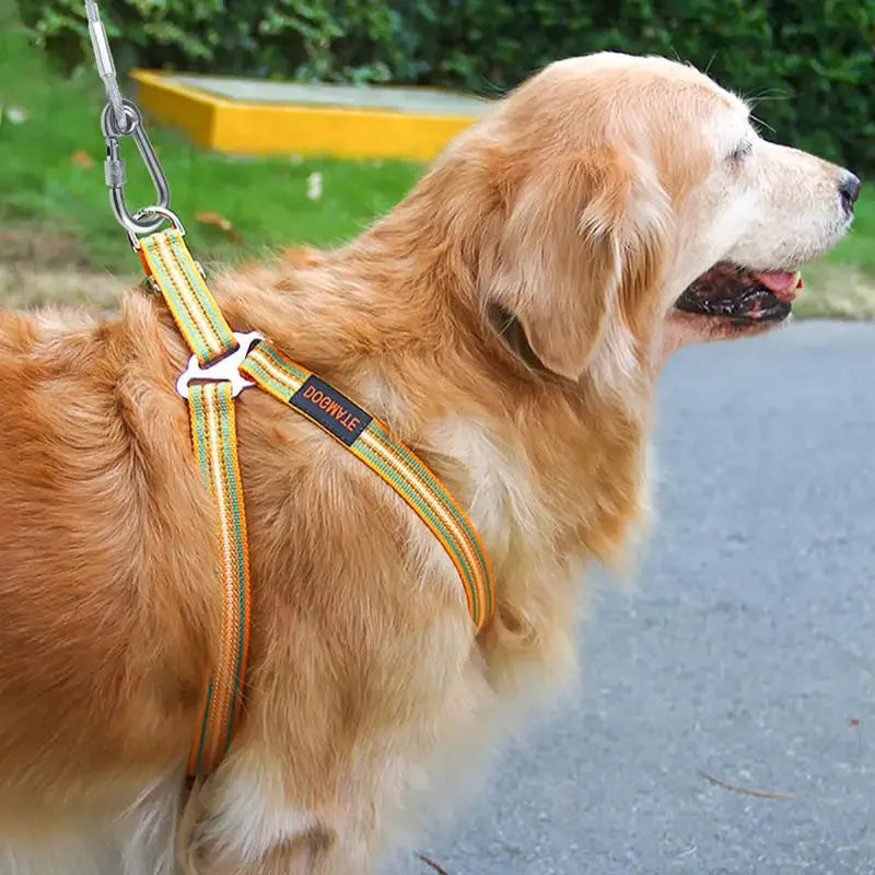 Double Headed Stainless Steel Dog Tie Out Cable Leash With Metal Buckle