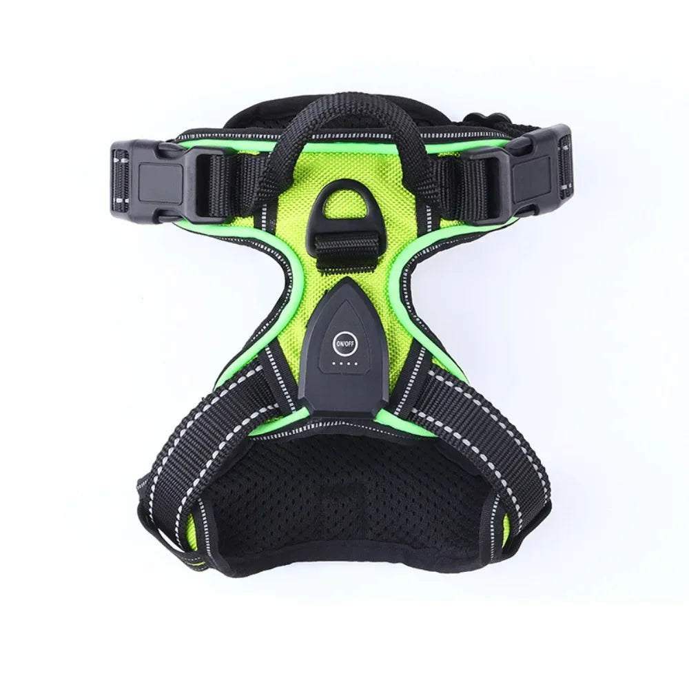 LED Light Up Dog Harness With Adjustable Rechargeable Battery