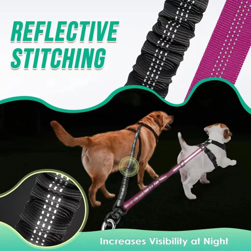 Double Dog Leash Attachment Shock Absorbing Bungee