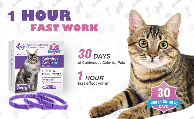 Dog Cat Calming Collar For Anxiety Relief Breakaway Quick Release