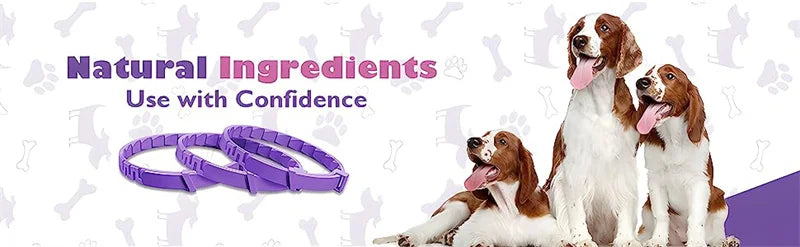 Dog Cat Calming Collar For Anxiety Relief Breakaway Quick Release