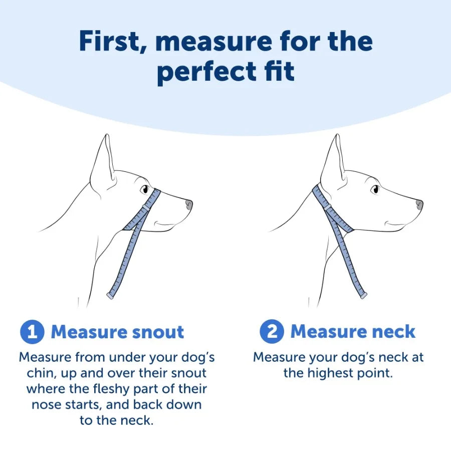 Gentle Leader Headcollar No Pull Dog Collar For Gentle Training