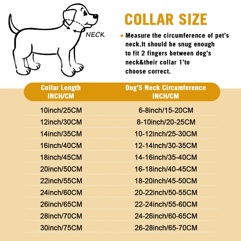 Stainless Steel Chain Collar for Dogs Durable Training Collar