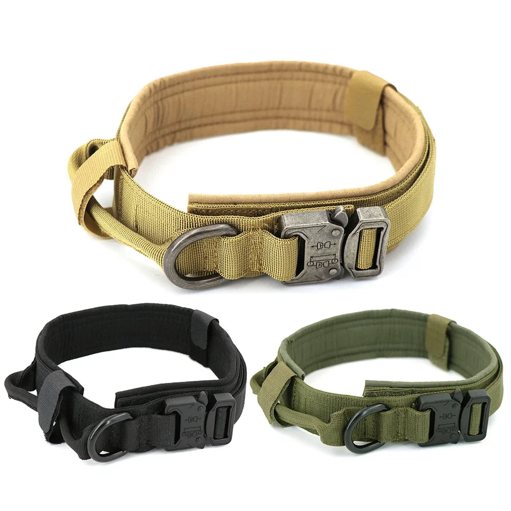 Dog Training Collar And Leash Set With Adjustable Control Handle