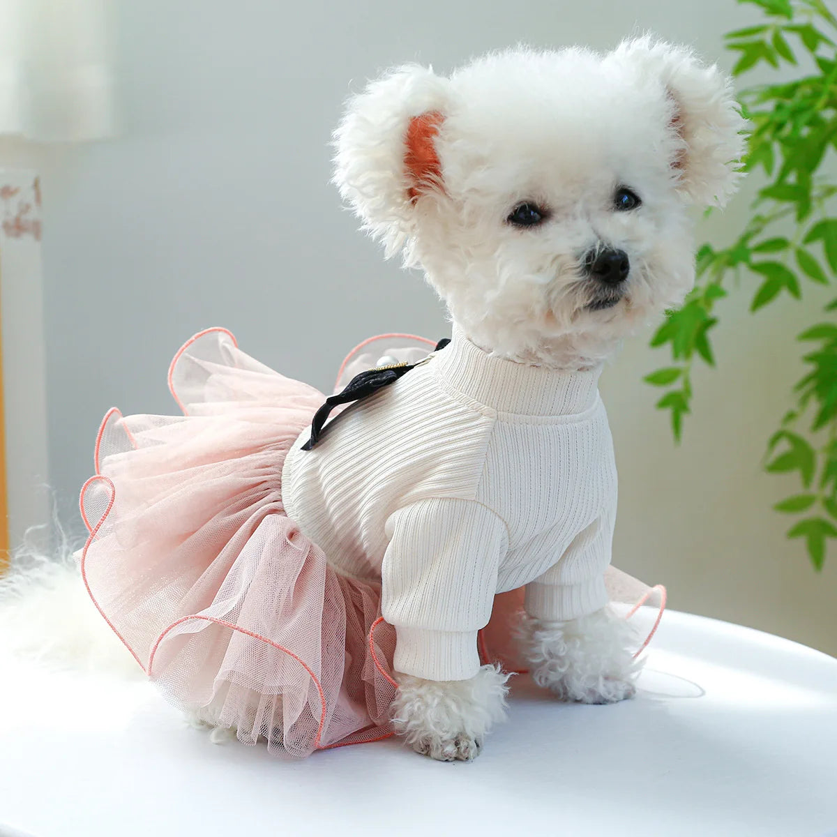 Christmas Checker Dog Dress From Pawstrip