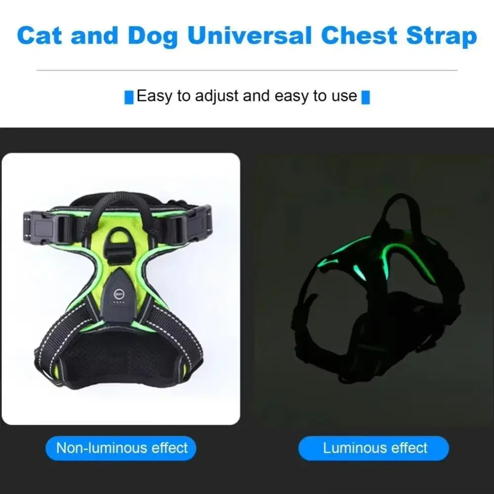 LED Light Up Dog Harness With Adjustable Rechargeable Battery