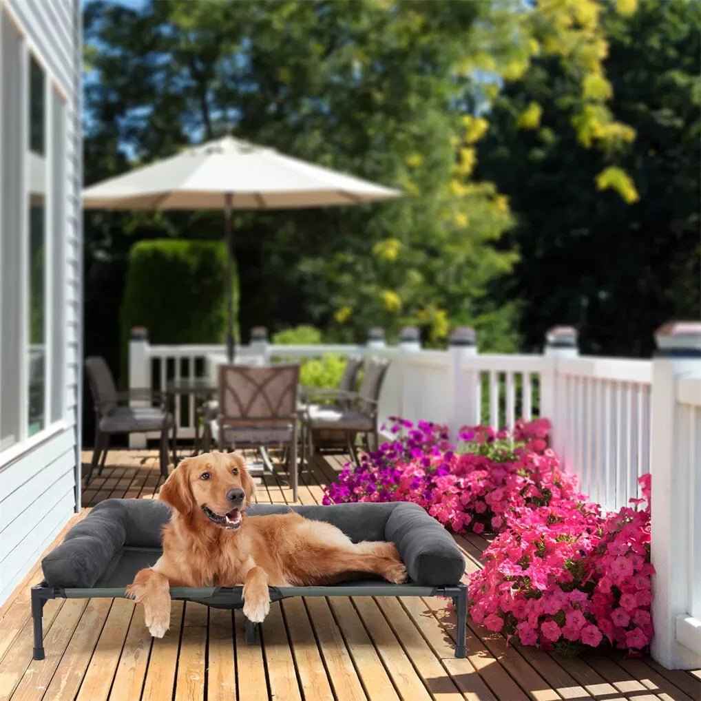 BINGOPAW Outdoor Elevated Cooling Dog Bed Lounger With Plush Bolster