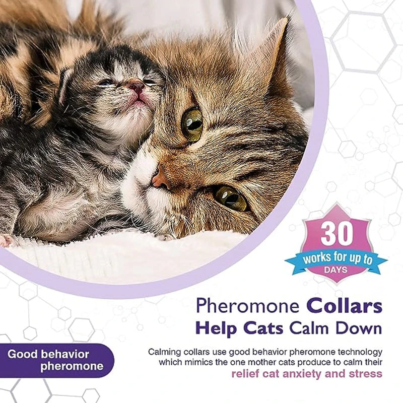 Dog Cat Calming Collar For Anxiety Relief Breakaway Quick Release