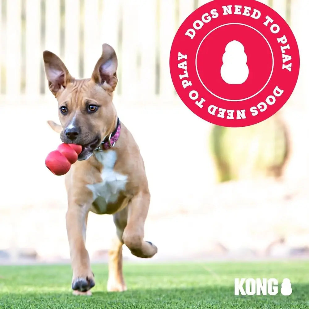 Durable Natural Rubber Disc Dog Toy For Medium And Large Dogs