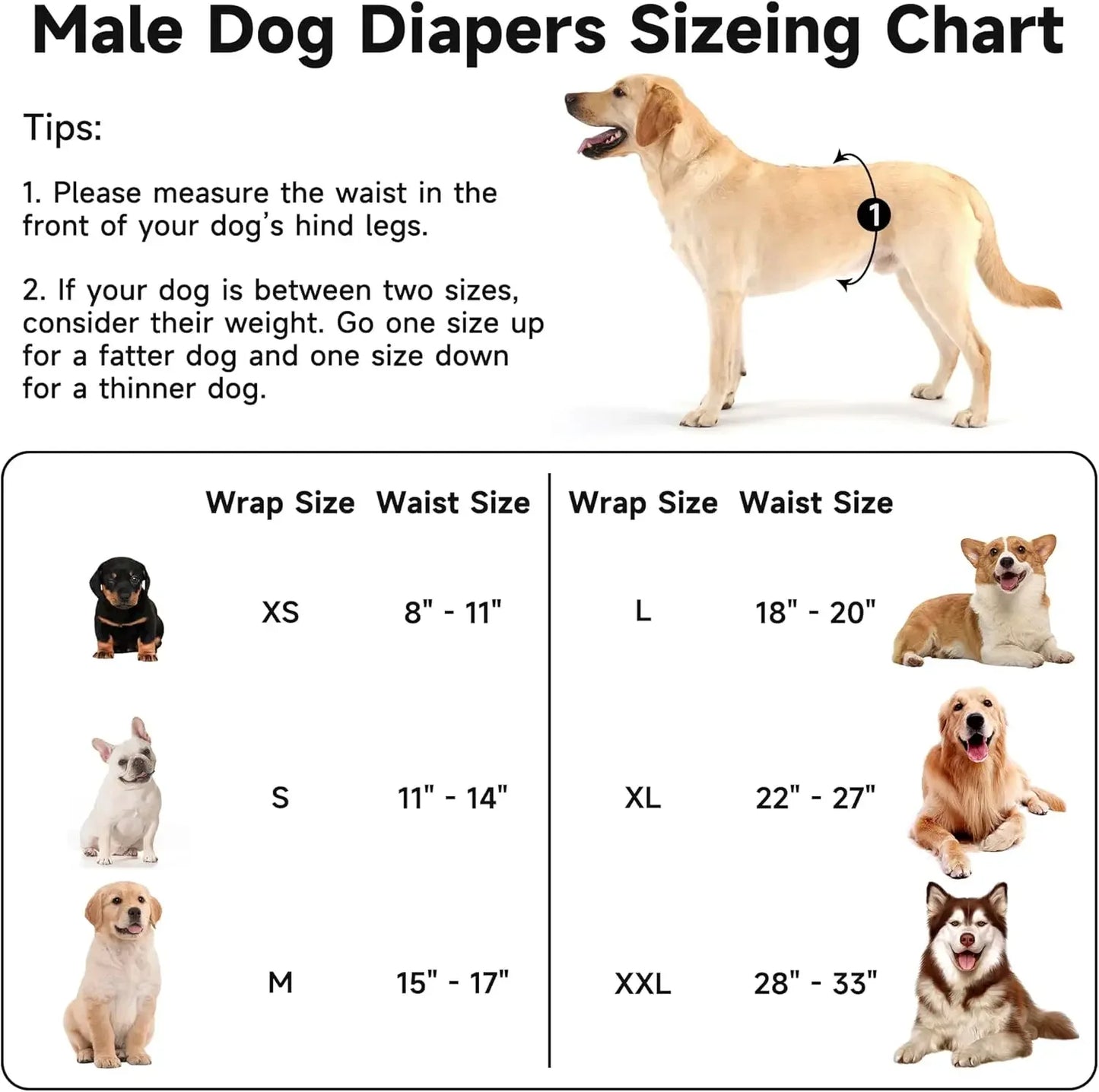 Premium Male Dog Belly Bands Reusable Leak Proof 5 Pack