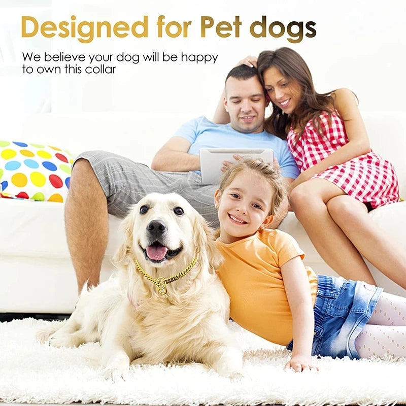 Stainless Steel Chain Collar for Dogs Durable Training Collar