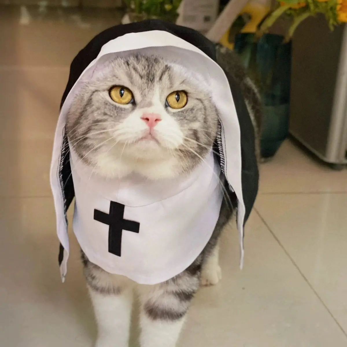 Funny Cat And Puppy Dress Up Cosplay Pet Clothes