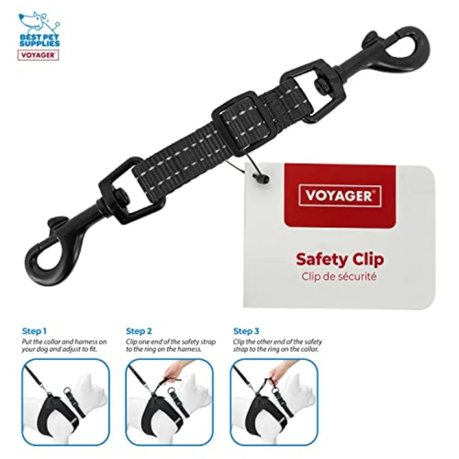Dog Collar Safety Clip With Dual Clasps For Training