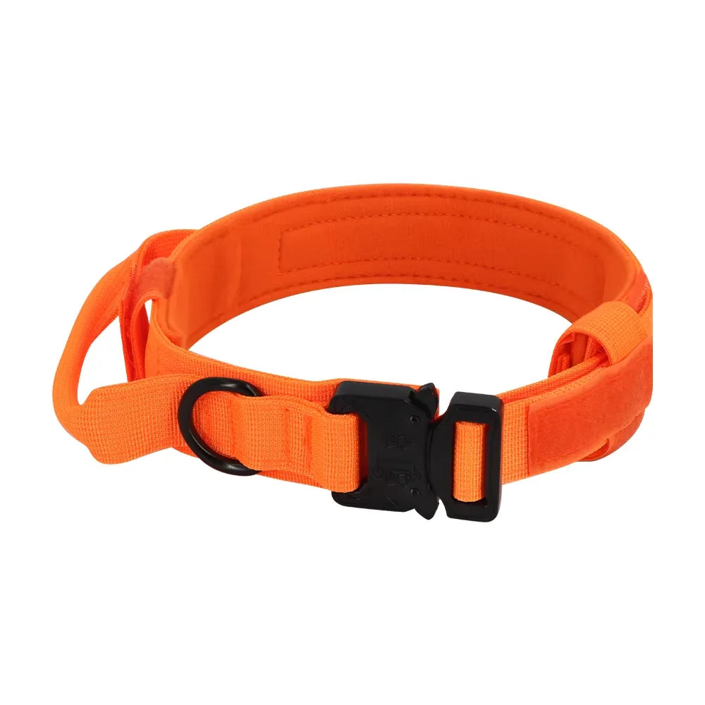 Dog Training Collar And Leash Set With Adjustable Control Handle