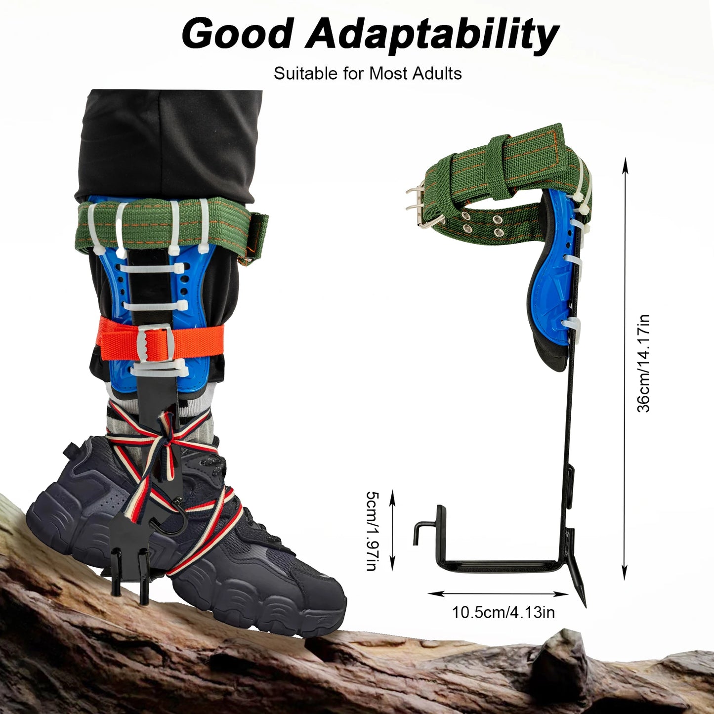 Professional Tree Climbing Spikes Kit With Safety Harness Capacity 220lbs