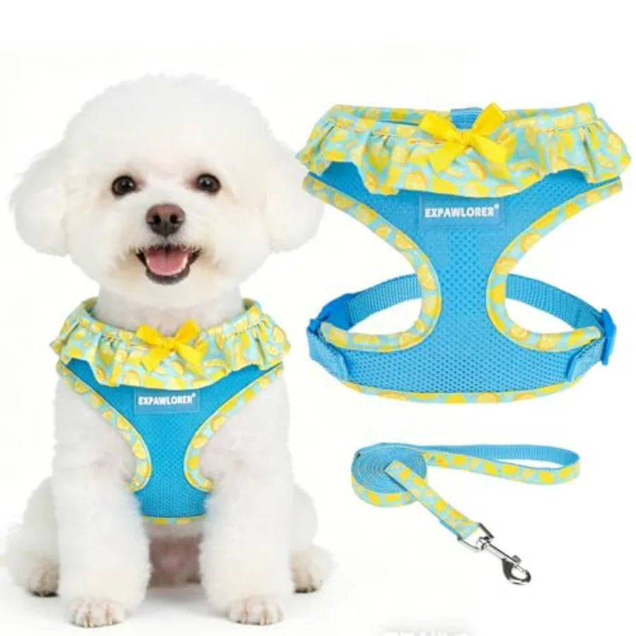 Dog Harness Leash Set Step In Adjustable NoChoke Mesh Vest